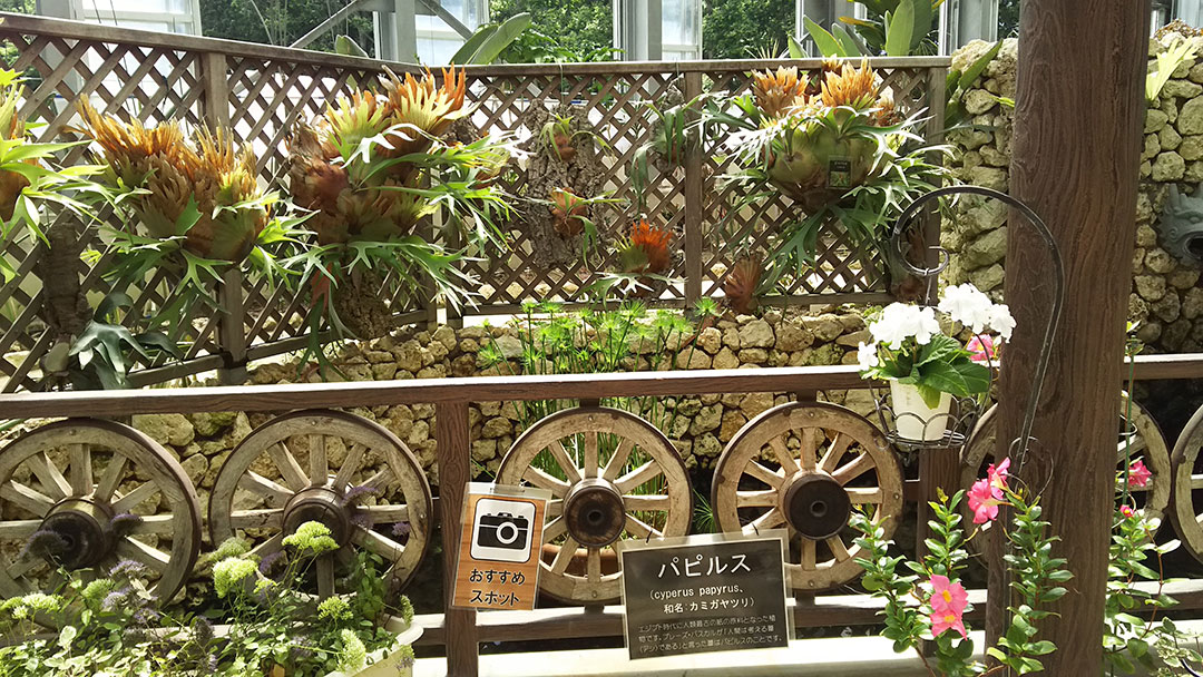 岩手県立花きセンター