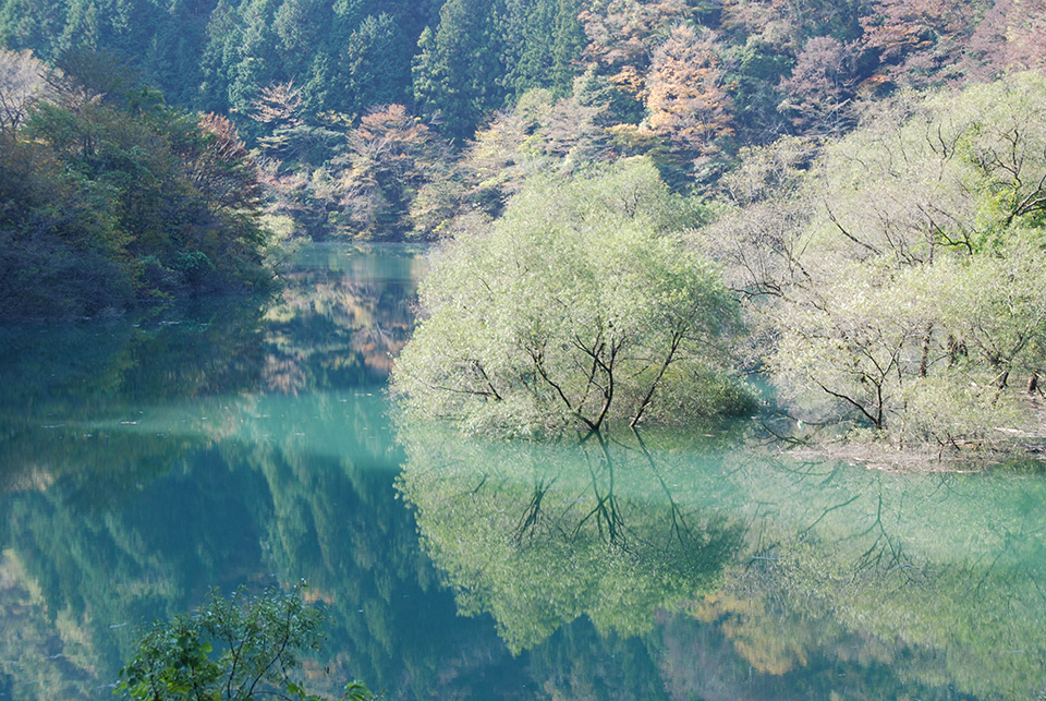 新豊根ダム みどり湖