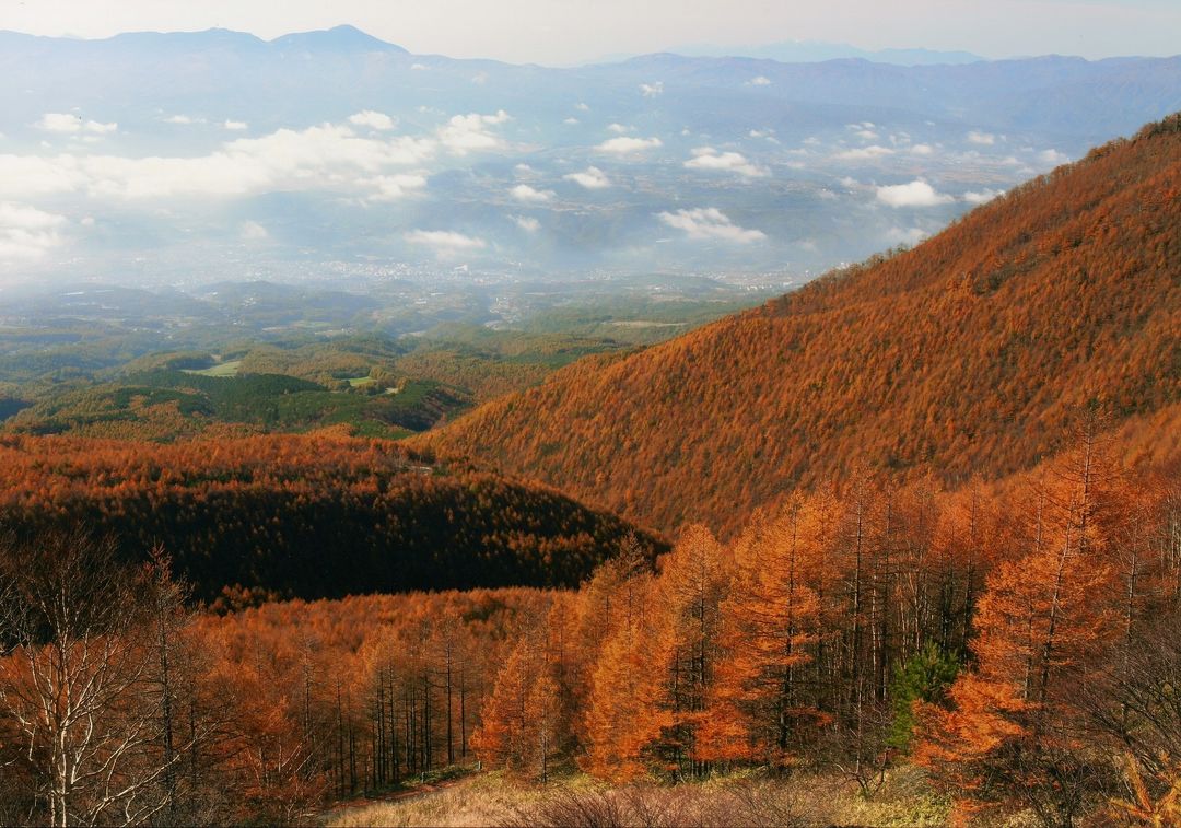 秋の高峰高原