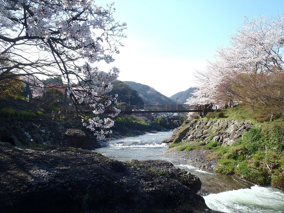 四季折々の風景を楽しめる公園