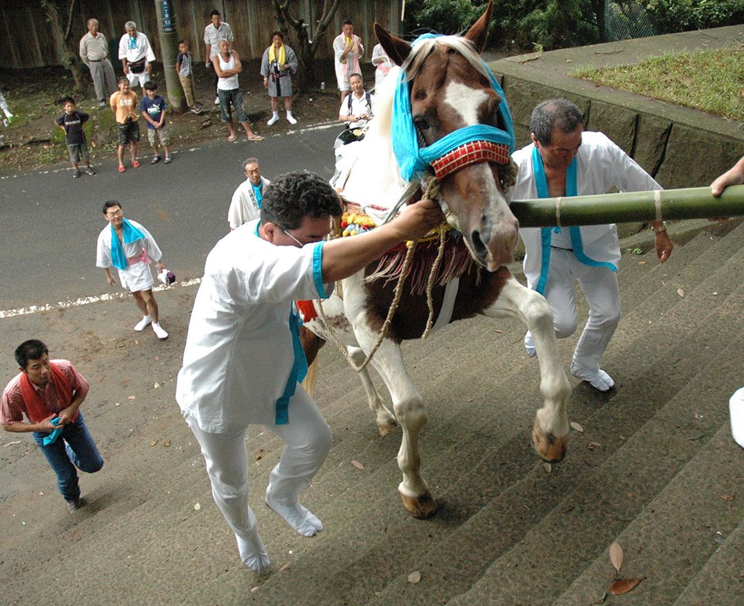 人見神社「神馬」