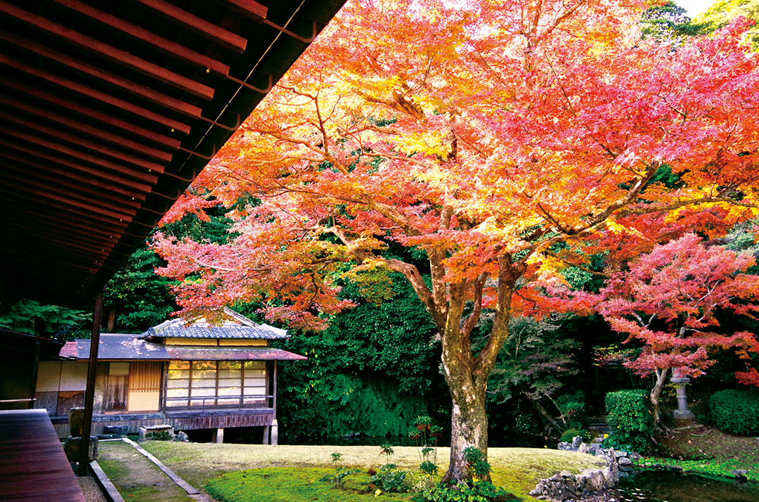 宗隣寺