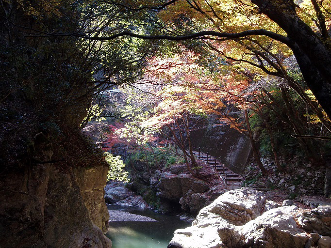 紅葉を楽しめる渓谷